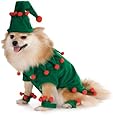 Elf Pet Costume, Large