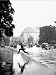 London Rain Hyde Park Adventure - Wall Poster