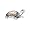 Swarovski Kristallfiguren Schildkroete 954679
