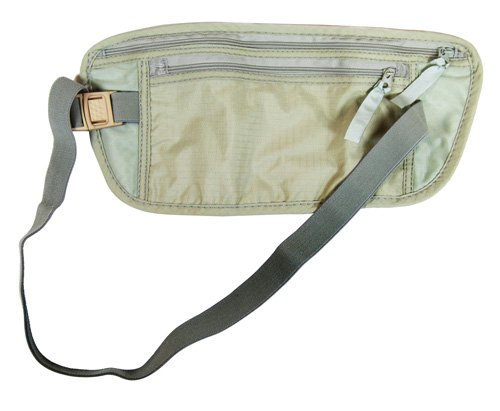 SE Dual Zippered Durable Lightweight Travel Pouch Fanny Pack, 11.5