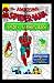Amazing Spider-Man 19 Steve Ditko signed by STAN LEE! Marvel Comics