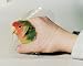 Bird Collars - 8 cm