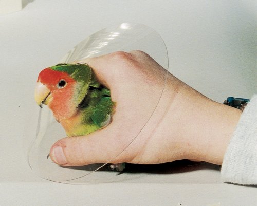 Bird Collars - 8 cm