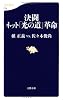 決闘　ネット「光の道」革命 (文春新書)