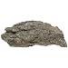 American Educational Mostly Amphibole Amphibolite Metamorphic Rock, 1/2Kg