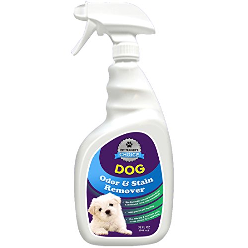 Dog Odor and Stain Remover Best Dog Urine Odor Remover and