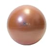 Natural Fitness 65cm Professional Burst-Resistant Exercise Ball (Red Rock)
