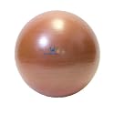 Natural Fitness 65cm Professional Burst-Resistant Exercise Ball (Red Rock)