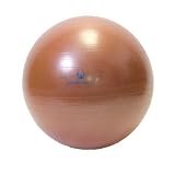 Natural Fitness 65cm Professional Burst-Resistant Exercise Ball (Red Rock)