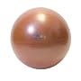Natural Fitness 65cm Professional Burst-Resistant Exercise Ball (Red Rock)