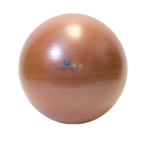 Natural Fitness 65cm Professional Burst-Resistant Exercise Ball Red Rock