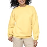 Hanes ComfortBlend Long Sleeve Fleece Crew - p160