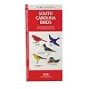 South Carolina Birds: An Introduction to Familiar Species (State Nature Guides)