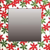 �s�C���e���A �~���[�tFabric Mirror�i�t�@�u���b�N �~���[�@�ԁ@�ԁE�΁j