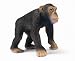 Schleich Male Chimpanzee