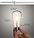 Injuicy Lighting Energy Saving ST64 Loft 4W LED Decorative Vintage Edison Light Bulb Squirrel Cage E27 AC110v-220V Edison Teardrop Vintage Lamp