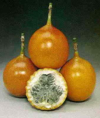 SWEET GRANADILLA (Passiflora ligularis) 5 seeds