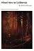Book What I Saw in California (Bison Book)