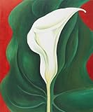 Art Reproduction Oil Painting - O'Keeffe Paintings: Single Calla Lily (Red) - Classic 20