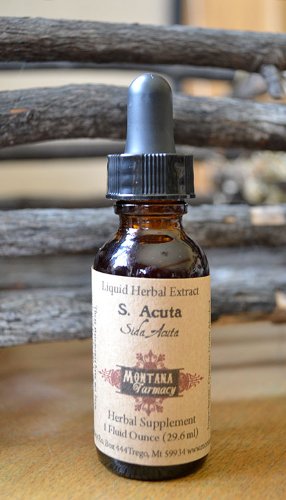 Sida Acuta Herbal Supplement Extract