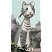 Tabby Cat Watering Can
