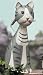 american shorthair - Tabby Cat Watering Can