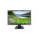 22" Wide LCD Monitor