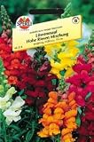 Eigenschaften Sperli  / Löwenmaul, Hohe Riesen Mischung
