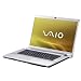 Sony Vaio -FW31M 41,7 cm (16,4 Zoll) WXGA+ Notebook (Intel Core 2 Duo P8600 2,4GHz, 4GB RAM, 500GB HDD, ATI Mobility Radeon HD 3470, Blu-ray/ DVD+- DL RW, Vista Home Premium) Sony Vaio -FW31M 41,7 cm (16,4 Zoll) WXGA+ Notebook (Intel Core 2 Duo P8600 2,4GHz, 4GB RAM, 500GB HDD, ATI Mobility Radeon HD 3470, Blu-ray/ DVD+- DL RW, Vista Home Premium)