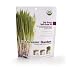 Pet Greens Garden Wheat Grass Self-Grow Kit
