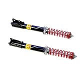 1986-1999 Buick LeSabre Rear Air Suspension Conversion Kit by Strutmasters