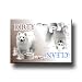 American Eskimo Dog Dishwasher Magnet