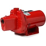 Red Lion RJS-75-PREM Shallow Well Jet Pump, Cast Iron, 1-HP 24-GPM