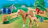 41buEKovfNL. SL160  PLAYMOBIL® 4188   Reiterhof   Pferdekoppel