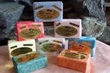 Hawaiian Scentsations Medium Bar Soap Coconut
