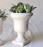 solxsol �����A�� Decorative stand pot M 10905