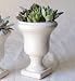 solxsol �����A�� Decorative stand pot M 10905