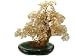 TAL45CT Citrine Natural Crystal Tree Bonsai Style