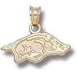 University of Arkansas Athletic Razorback 5/16 Pendant (14kt)