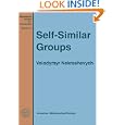 Self-Similar Groups (Mathematical Surveys and Monographs) by Volodymyr Nekrashevych