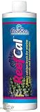 Caribsea ReefCal Ionic Calcium Solution 16oz