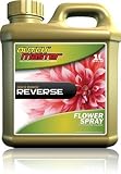 Dutch Master Reverse Gold Flower Spray 1 Liter