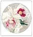 Decorative Glass Plate White Orchid