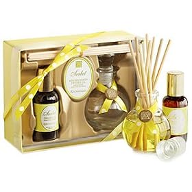 Aromatique Sorbet Mini Reed Diffuser Set
