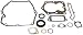 Briggs and Stratton Genuine 794307 Engine Gasket Set