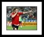Fernando Torres Spain National Team Framed 8x10 Photograph 2008 Euro Champs Goal Celebration