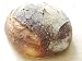 Artisan Wine Bread
