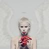 Image of album by DIE ANTWOORD