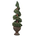 Lighted Spiral Topiary - 4'