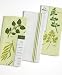 Martha Stewart Collection Table of Herbs Kitchen Towels, Set of 3